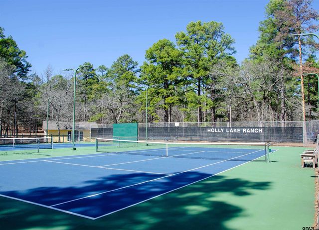 162 Pine Tree Unit A, Holly Lake Ranch, TX 75765