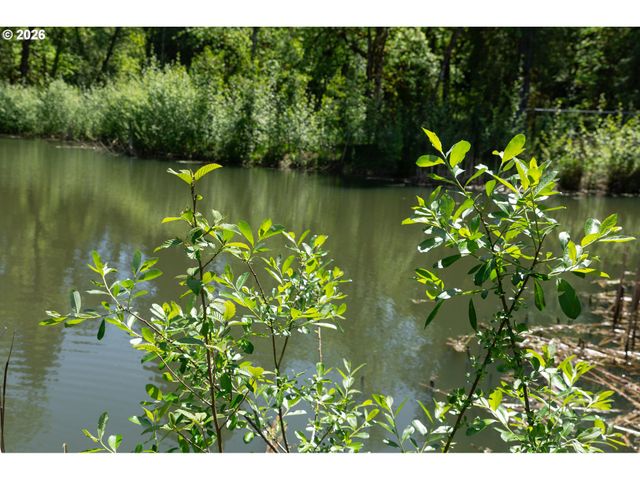 504 Sw 31ST St, Battle Ground, WA 98604