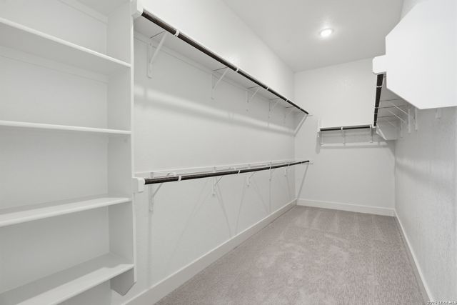 8131 Swift Bear, San Antonio, TX 78266