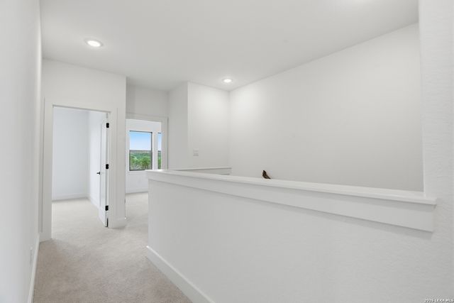 8131 Swift Bear, San Antonio, TX 78266