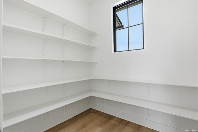 8131 Swift Bear, San Antonio, TX 78266
