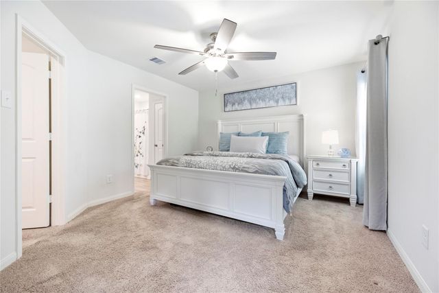 21347 Rachel Manor Drive, Hockley, TX 77447