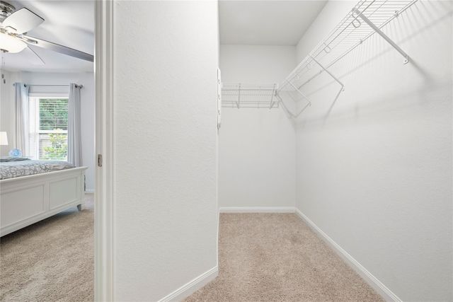 21347 Rachel Manor Drive, Hockley, TX 77447