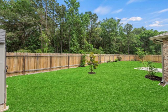 21347 Rachel Manor Drive, Hockley, TX 77447