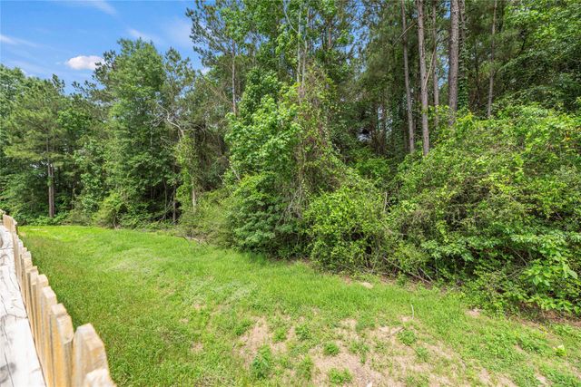 21347 Rachel Manor Drive, Hockley, TX 77447