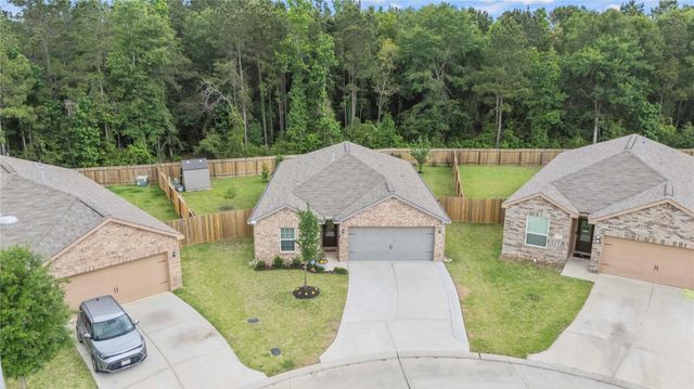 21347 Rachel Manor Drive, Hockley, TX 77447