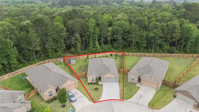 21347 Rachel Manor Drive, Hockley, TX 77447