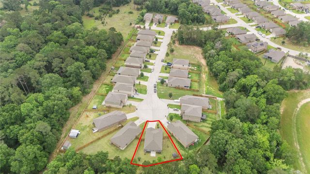 21347 Rachel Manor Drive, Hockley, TX 77447