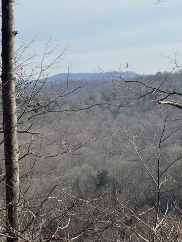 0 Tick Rd, Hilham, TN 38568