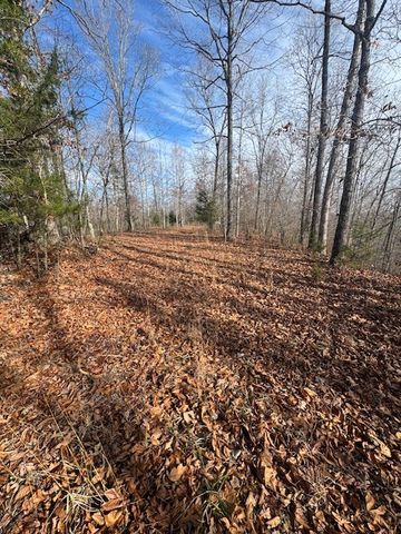 0 Tick Rd, Hilham, TN 38568