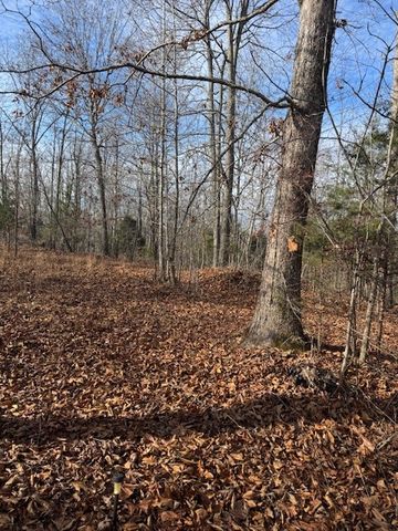 0 Tick Rd, Hilham, TN 38568