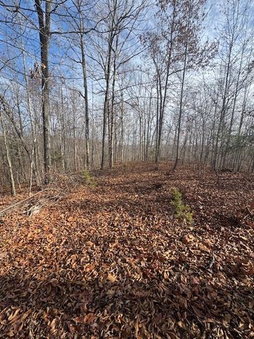 0 Tick Rd, Hilham, TN 38568