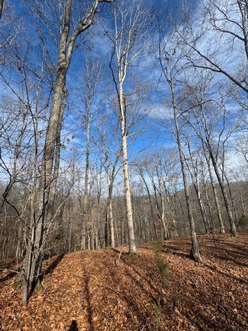 0 Tick Rd, Hilham, TN 38568