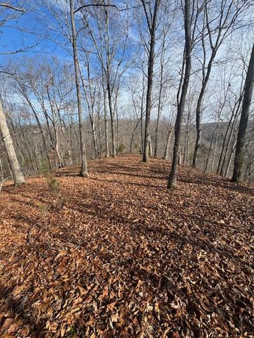 0 Tick Rd, Hilham, TN 38568