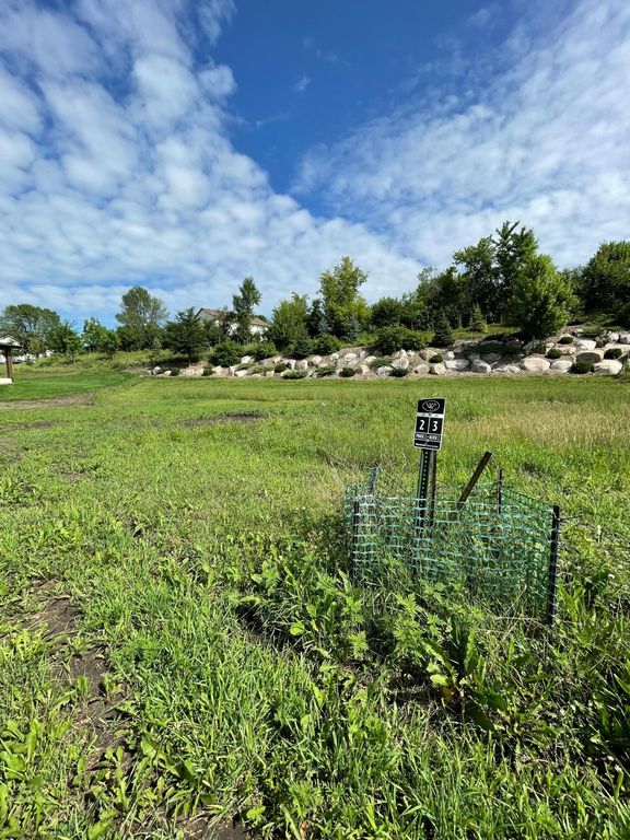 108 Forest Court, Waconia, MN 55387 — photo 4