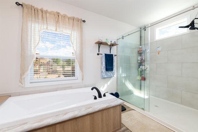 1241 Buckskin Street, Delta, CO 81416