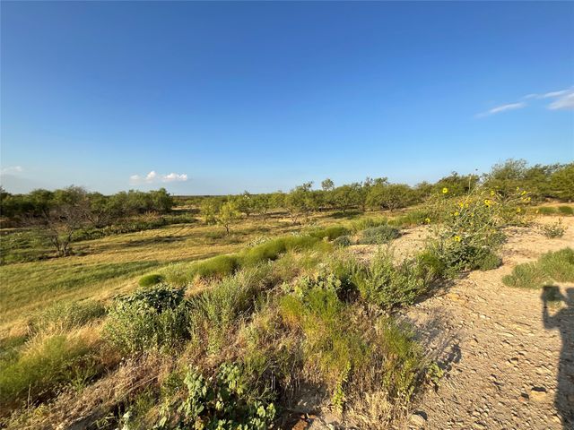 1009 Goodnight Trail, Perrin, TX 76486
