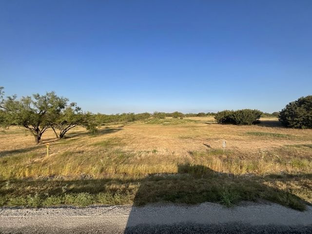 1009 Goodnight Trail, Perrin, TX 76486