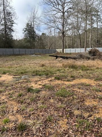 41 Deer Run Rd, Shepherd, TX 77371