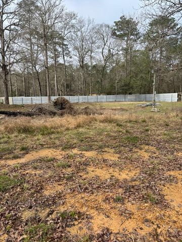 41 Deer Run Rd, Shepherd, TX 77371