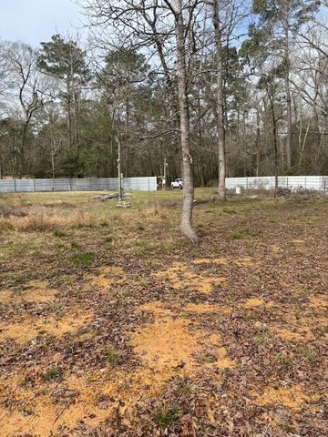41 Deer Run Rd, Shepherd, TX 77371