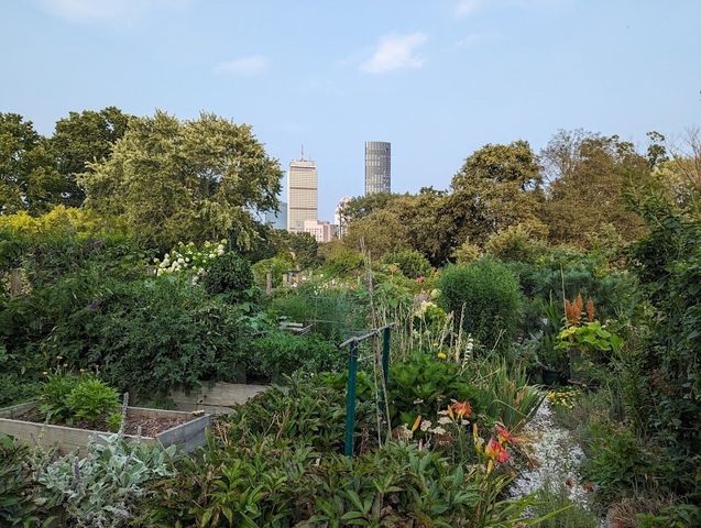 56 Charlesgate E 138, Boston, MA 02215