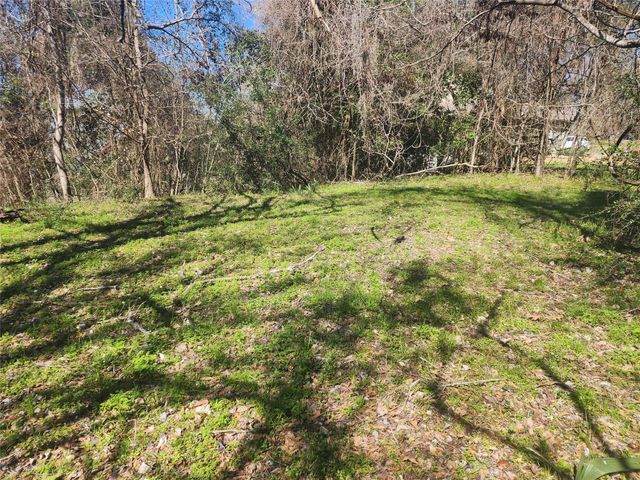 000 Linda Chain Road, Livingston, TX 77351