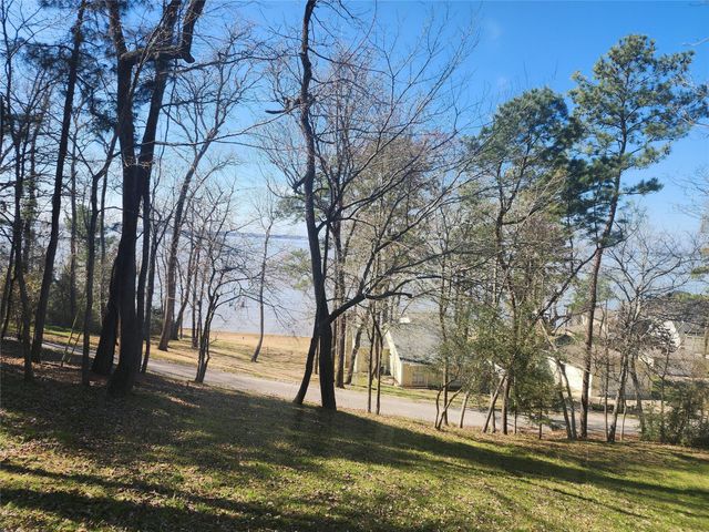 000 Linda Chain Road, Livingston, TX 77351