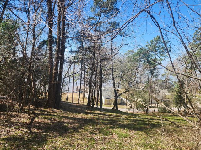 000 Linda Chain Road, Livingston, TX 77351