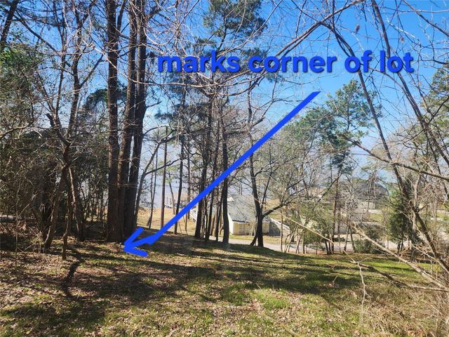 000 Linda Chain Road, Livingston, TX 77351