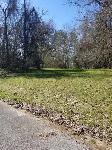 000 Linda Chain Road, Livingston, TX 77351