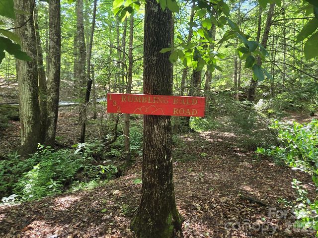 132 Rumbling Bald Road, Lake Lure, NC 28746