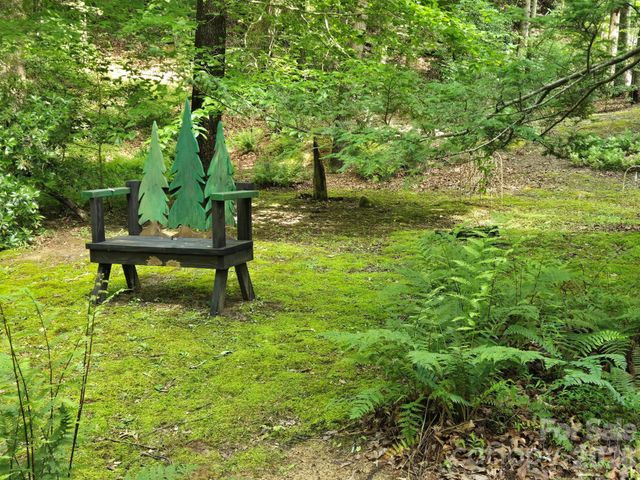132 Rumbling Bald Road, Lake Lure, NC 28746
