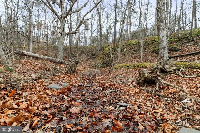 11.53 AC W TENACIOUS DRIVE, Romney, WV 26757