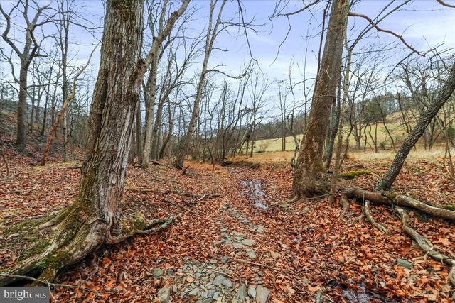 11.53 AC W TENACIOUS DRIVE, Romney, WV 26757