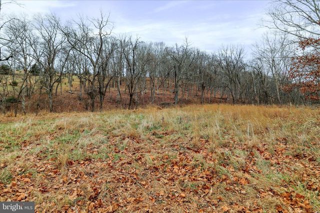 11.53 AC W TENACIOUS DRIVE, Romney, WV 26757