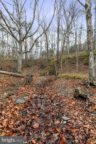 11.53 AC W TENACIOUS DRIVE, Romney, WV 26757