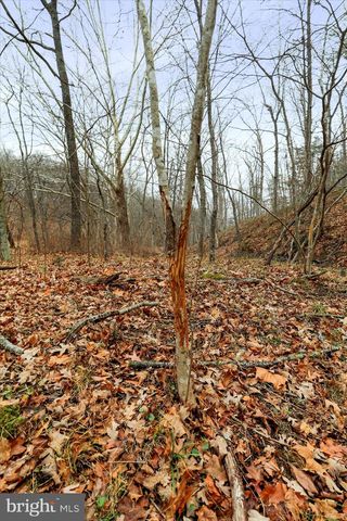 11.53 AC W TENACIOUS DRIVE, Romney, WV 26757