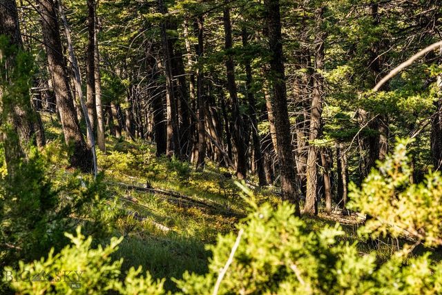 405 Resolute Ridge Road, Bozeman, MT 59715