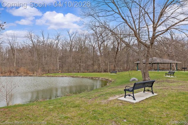 46079 Sunset Street, Northville Township, MI 48167