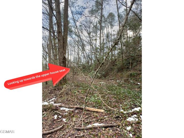 325 Autumn Lane, Gatlinburg, TN 37738