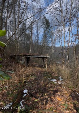 325 Autumn Lane, Gatlinburg, TN 37738