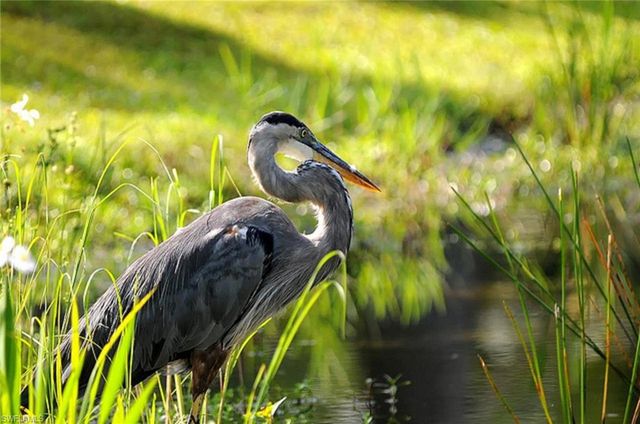 16387 RABAT WAY, Punta Gorda, FL 33955