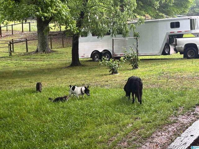6650 COUNTY ROAD 151, Calera, AL 35040