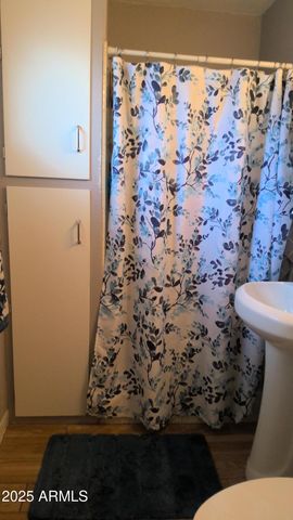 1239 W 1st Place, Mesa, AZ 85201