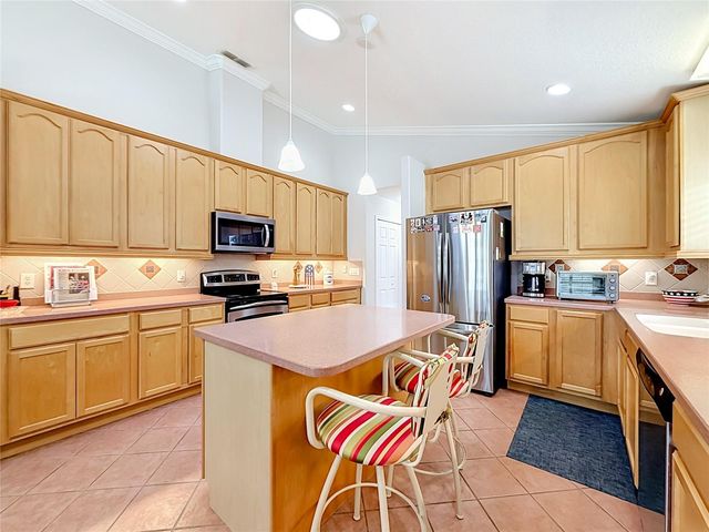 24044 PEEKSKILL STREET, Leesburg, FL 34748