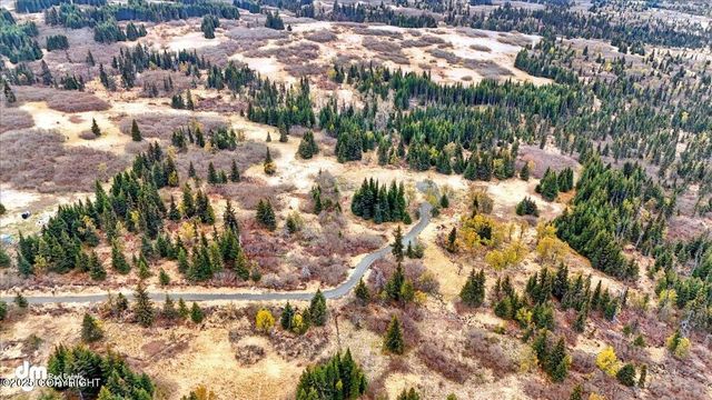 65079 & L5 Clyde Thomas Avenue, Anchor Point, AK 99556
