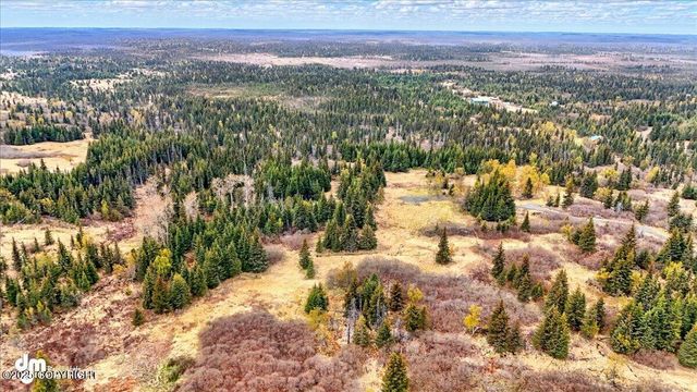 65079 & L5 Clyde Thomas Avenue, Anchor Point, AK 99556