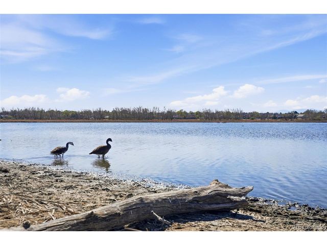 12382 Madison Ct, Thornton, CO 80241