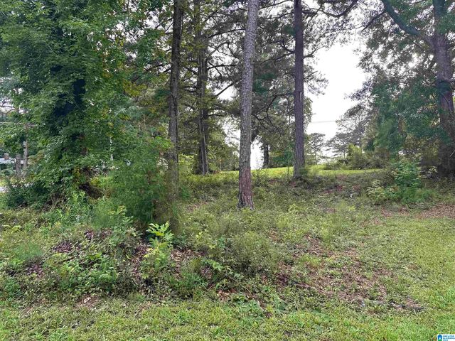 1988 COUNTY ROAD, Alexander City, AL 35010